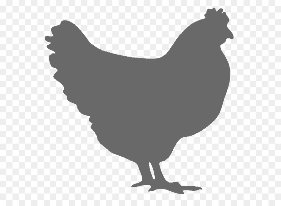 Roast chicken Fried chicken Rooster Image - chicken png download - 1051*757 - Free Transparent Chicken png Download.