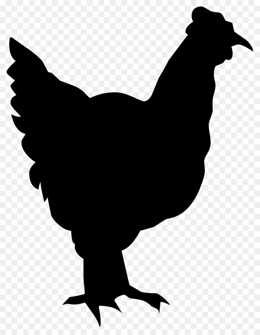 Rooster Chicken as food Chicken as food Poultry - chicken png download - 997*1280 - Free Transparent Rooster png Download.