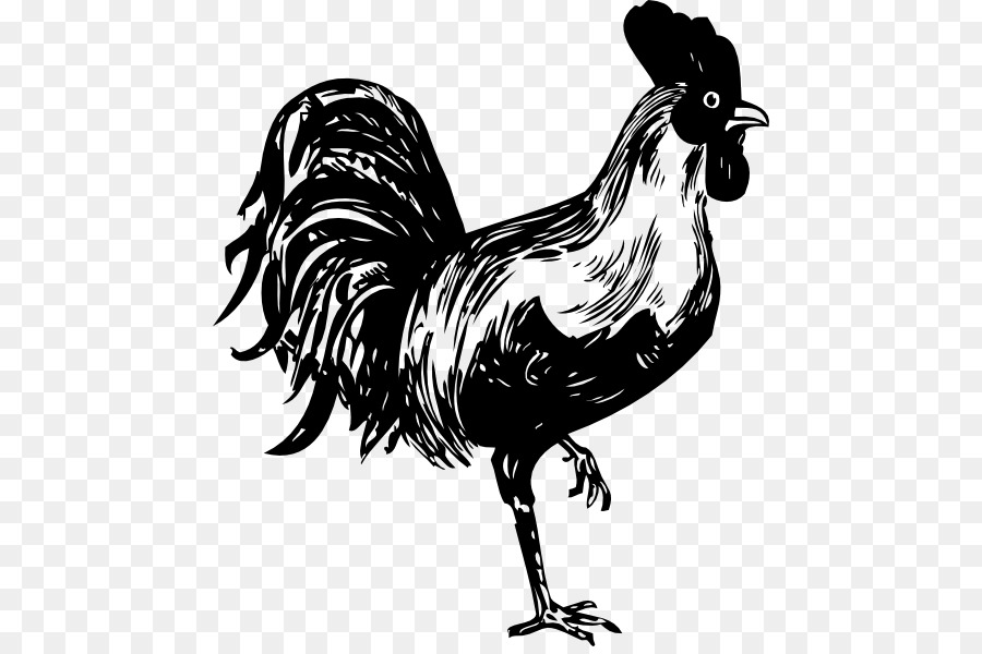 Chicken Rooster Clip art - Picture Of A Rooster png download - 510*593 - Free Transparent Chicken png Download.
