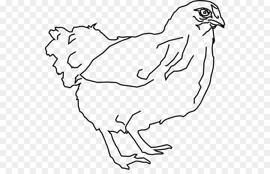 Chicken Drawing Line art Hen Clip art - chicken png download - 600*566 - Free Transparent  png Download.