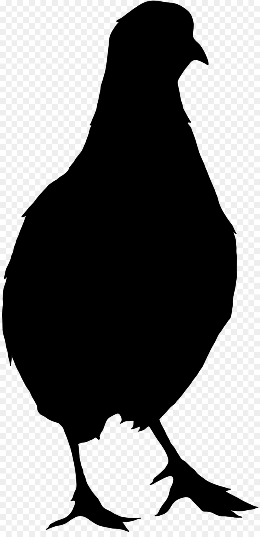 Northern bobwhite Vector graphics Chicken Silhouette Quail -  png download - 1137*2332 - Free Transparent Northern Bobwhite png Download.