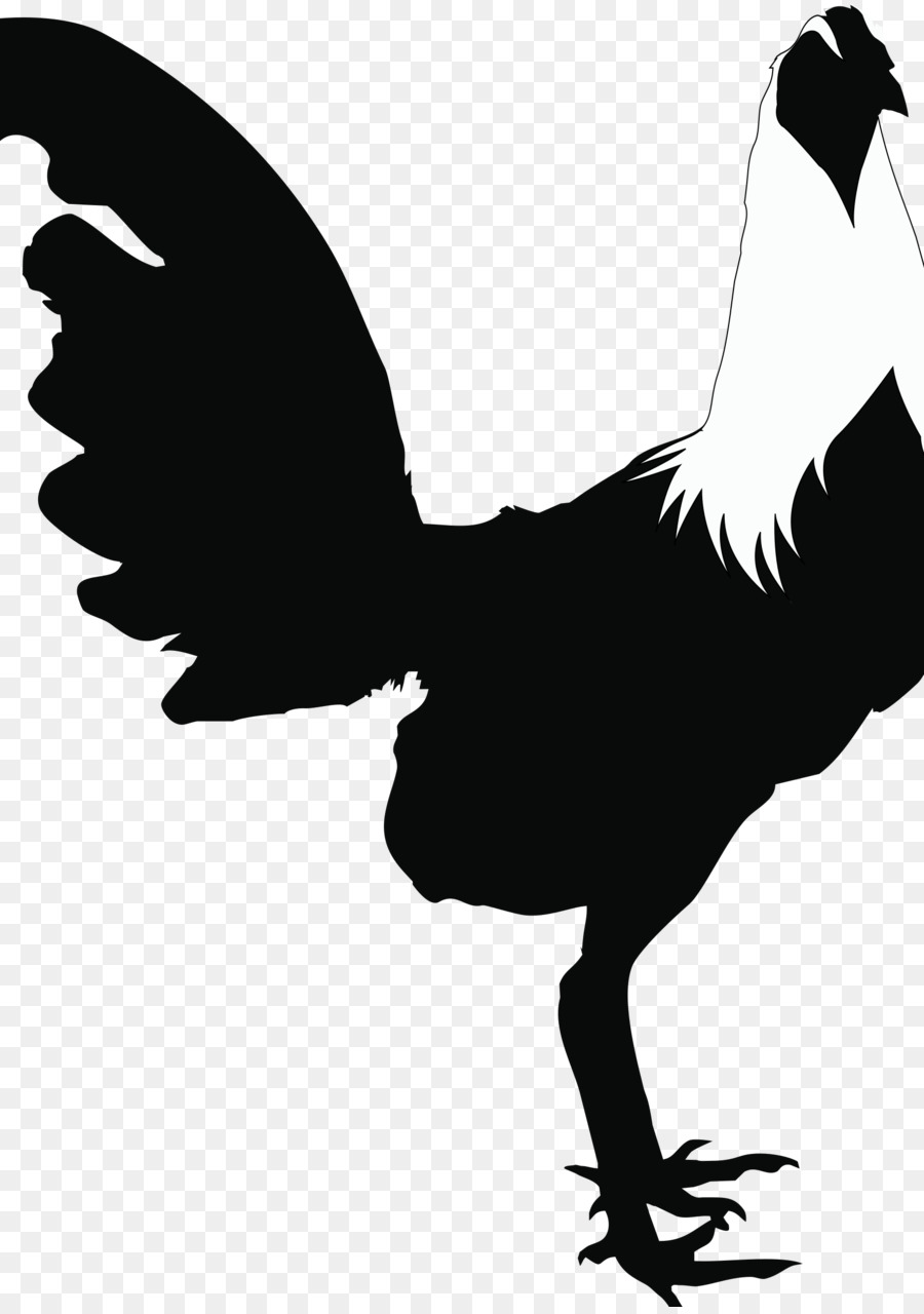 Rooster Cochin chicken Andalusian chicken Houdan chicken Silhouette - tetuxe gravel black and white png download - 1697*2400 - Free Transparent Rooster png Download.