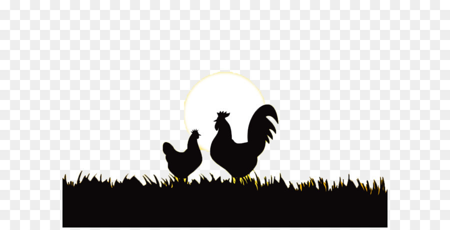 Rooster Chicken Silhouette - sunrise png download - 1400*980 - Free Transparent Rooster png Download.