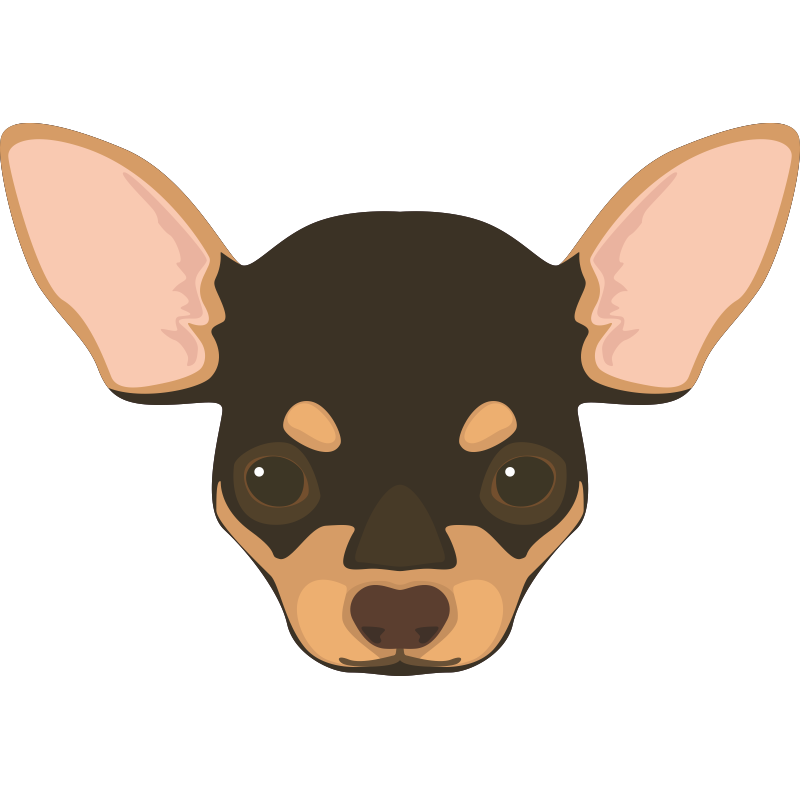 Chihuahua Dog breed Puppy Vector graphics Illustration - puppy png ...