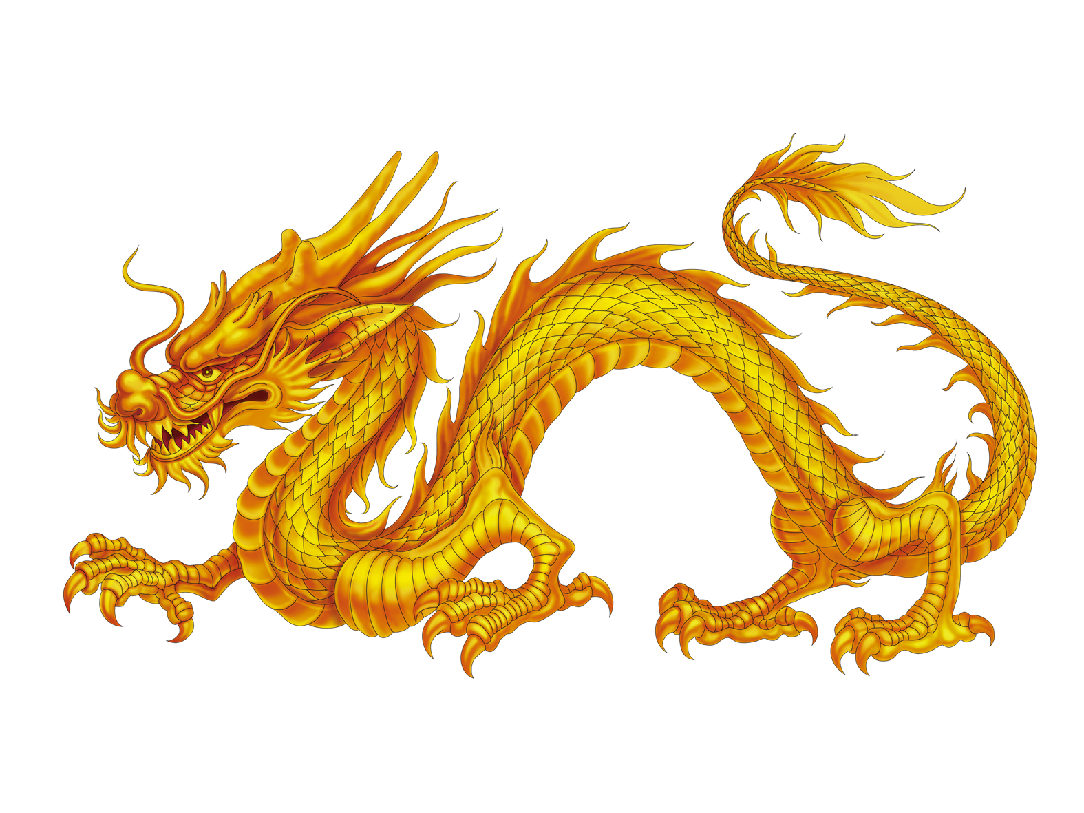 China Chinese Dragon Japanese Dragon - Dragon Png Download - 1575*1181 A1F