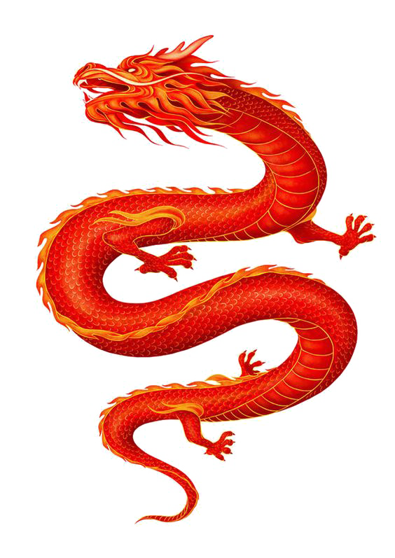 China Chinese dragon - Chinese dragon png download - 564*797 - Free ...