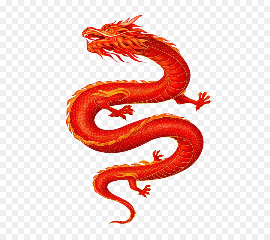 China Chinese dragon - Chinese dragon png download - 564*797 - Free Transparent China png Download.