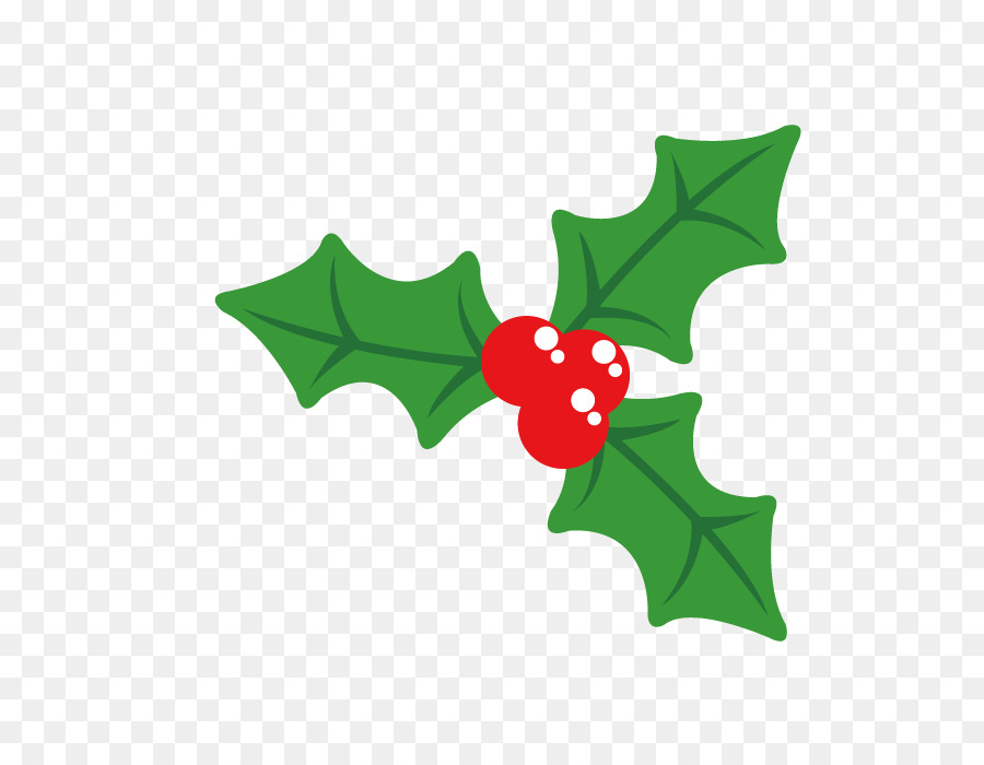 Holly Christmas Plant - Vector Christmas decorative plants png download - 700*700 - Free Transparent Holly png Download.