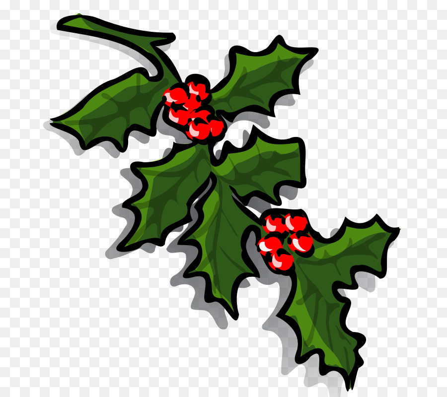 Common holly Borders and Frames Christmas Clip art - Chritmas Images png download - 800*800 - Free Transparent Common Holly png Download.