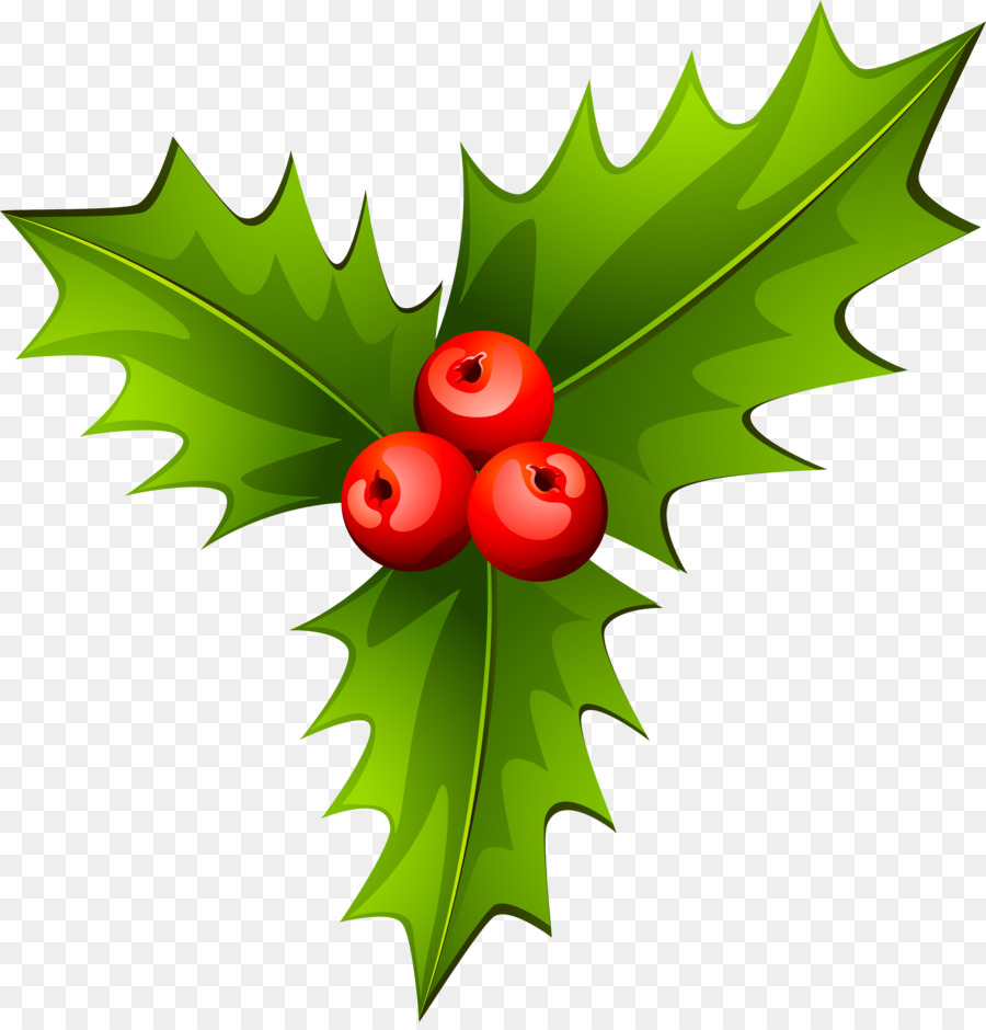 Holly Christmas tree Plant - HOLLY png download - 2958*3067 - Free Transparent Holly png Download.