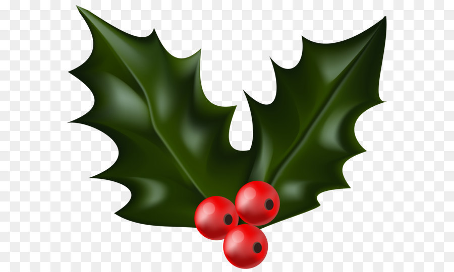 Christmas Clip art - Christmas Holly Mistletoe PNG Clip Art png download - 6000*4982 - Free Transparent Common Holly png Download.