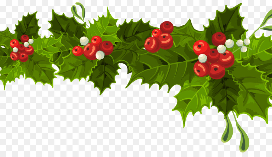 Common holly Christmas decoration Mistletoe Clip art - Christmas Decorating Cliparts png download - 5900*3312 - Free Transparent Common Holly png Download.