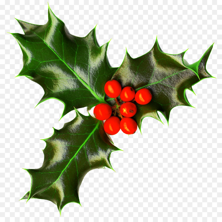 Common holly Christmas decoration Christmas tree Clip art - christmas png download - 862*884 - Free Transparent Common Holly png Download.