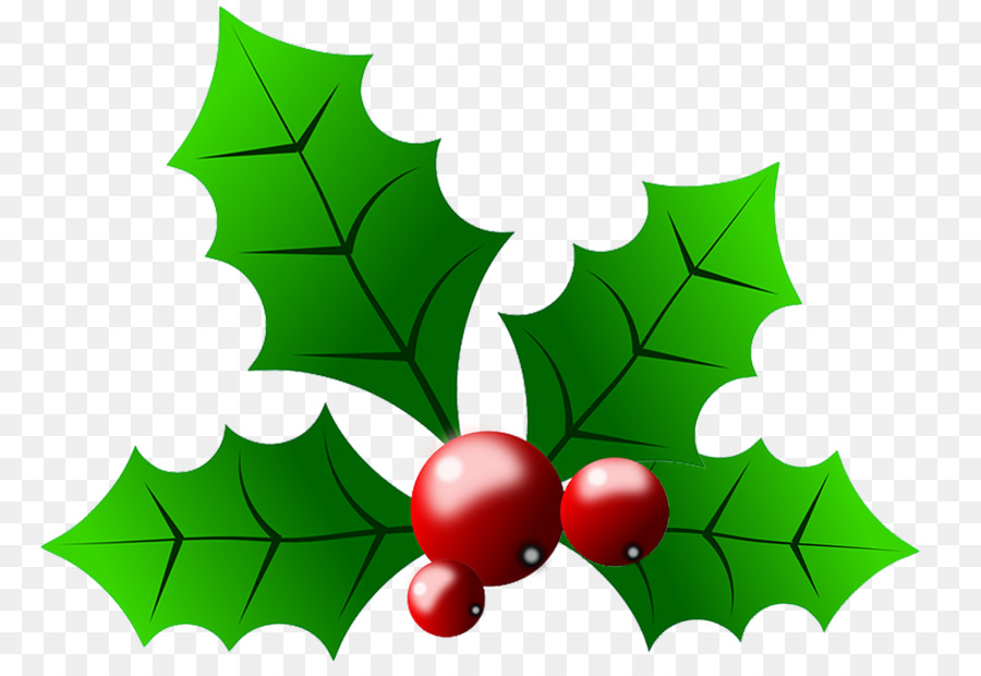 Common holly Christmas Clip art - Holly Pictures With Berries png download - 1000*684 - Free Transparent Common Holly png Download.