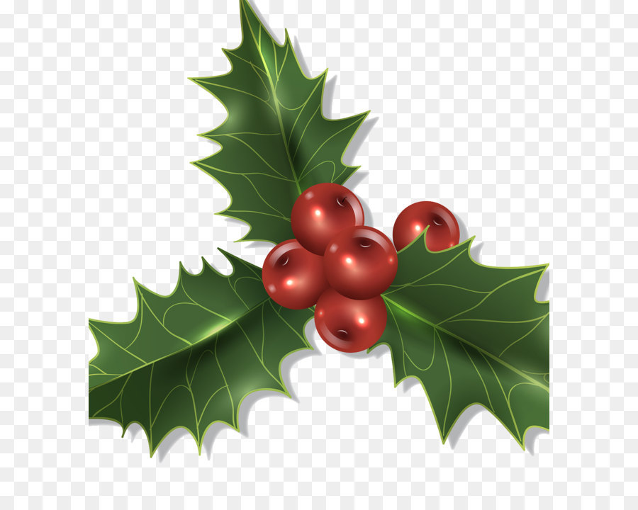 Christmas decoration Holly - Christmas plant decorations png download - 1200*1310 - Free Transparent Plant png Download.