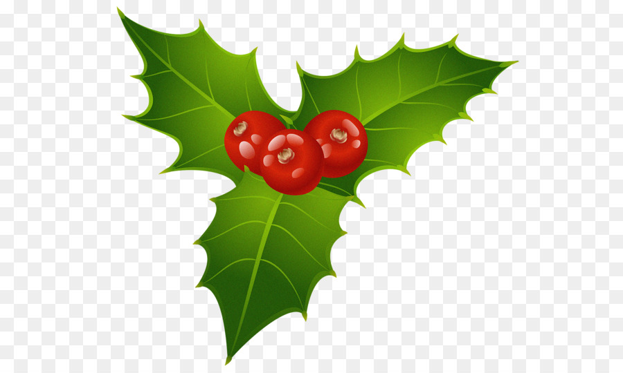 Christmas Holly Transparent PNG Clip Art​
