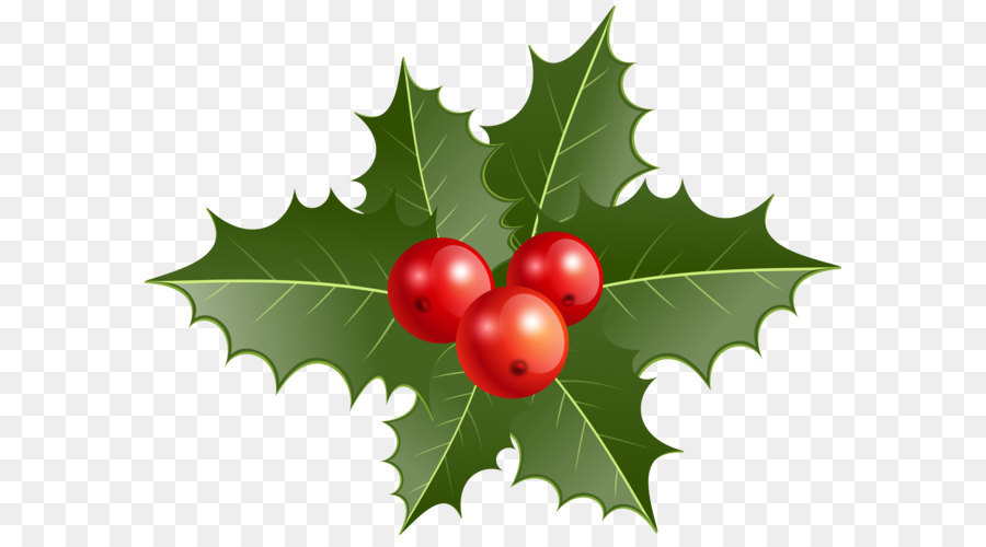 Common holly Christmas decoration Clip art - Christmas Holly PNG Clip Art png download - 8000*6081 - Free Transparent Common Holly png Download.