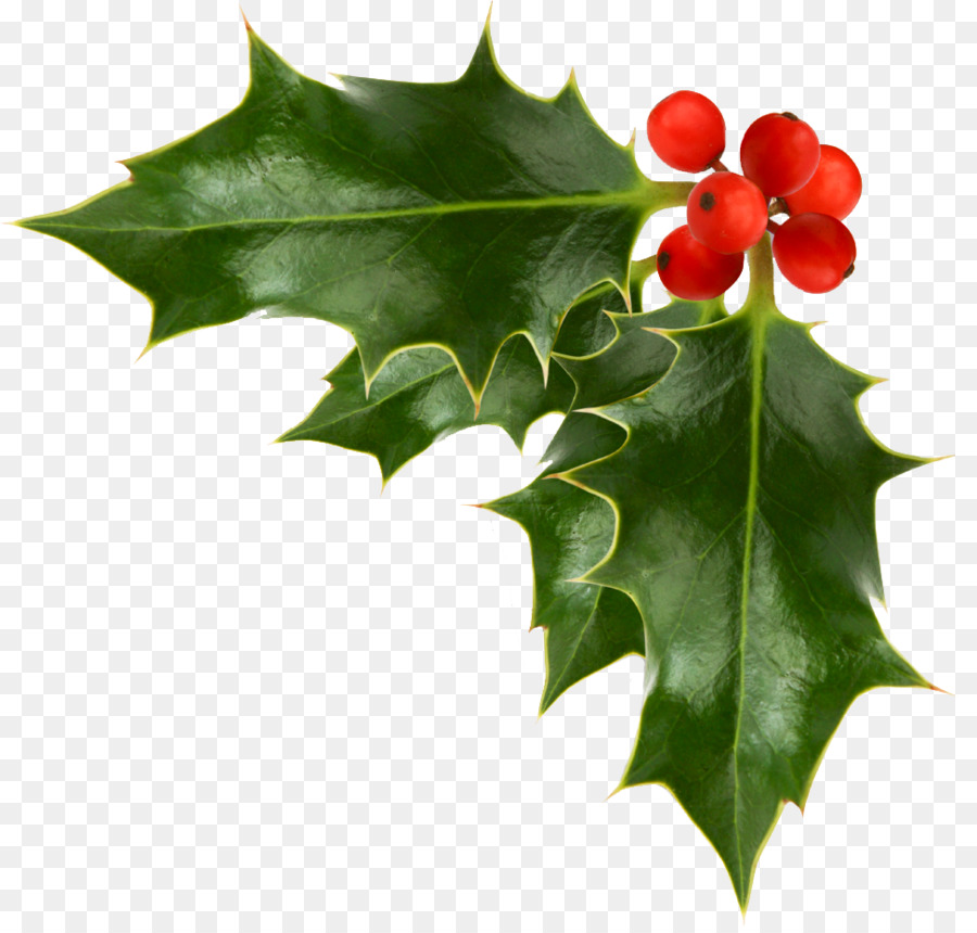 Common holly Christmas Free content Clip art - Corner Garland Cliparts png download - 974*925 - Free Transparent Common Holly png Download.