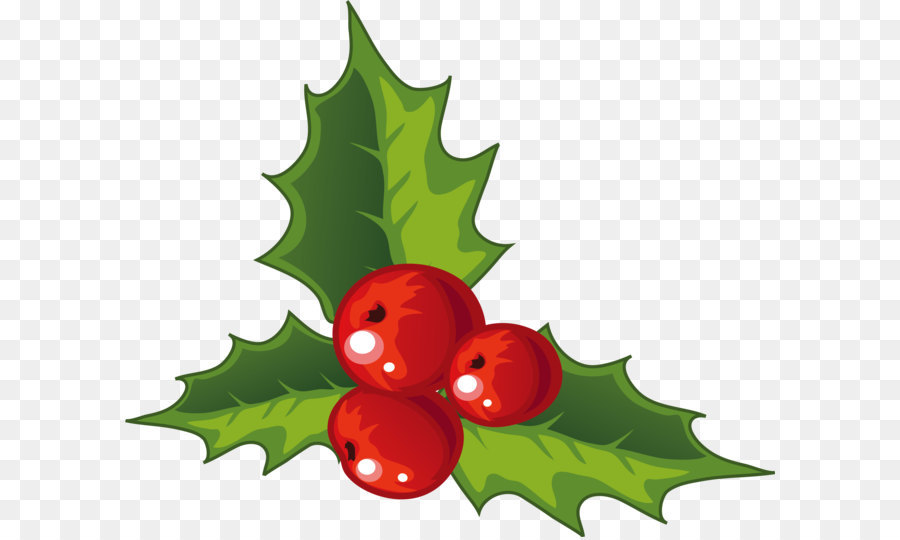 Holly Christmas decoration - Holly decorations for Christmas png download - 3001*2478 - Free Transparent Christmas  png Download.