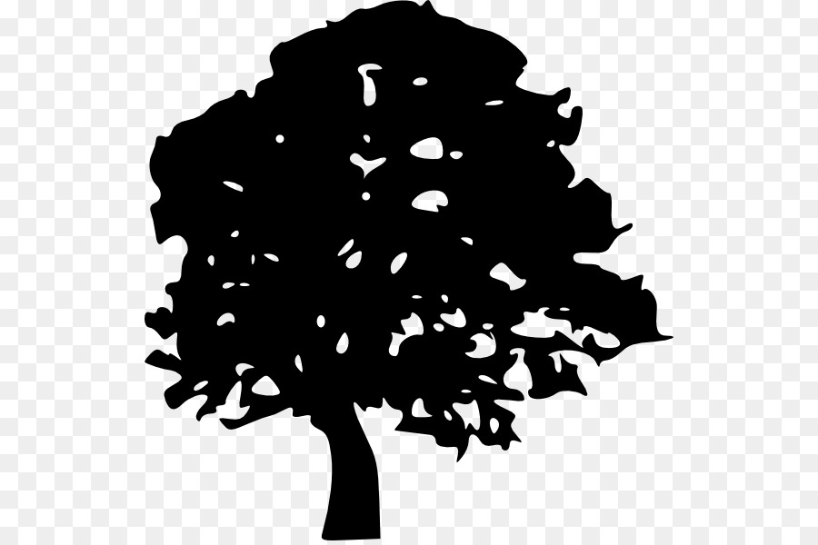 Tree Oak Silhouette Clip art - Oak Tree Clipart png download - 582*595 - Free Transparent Tree png Download.