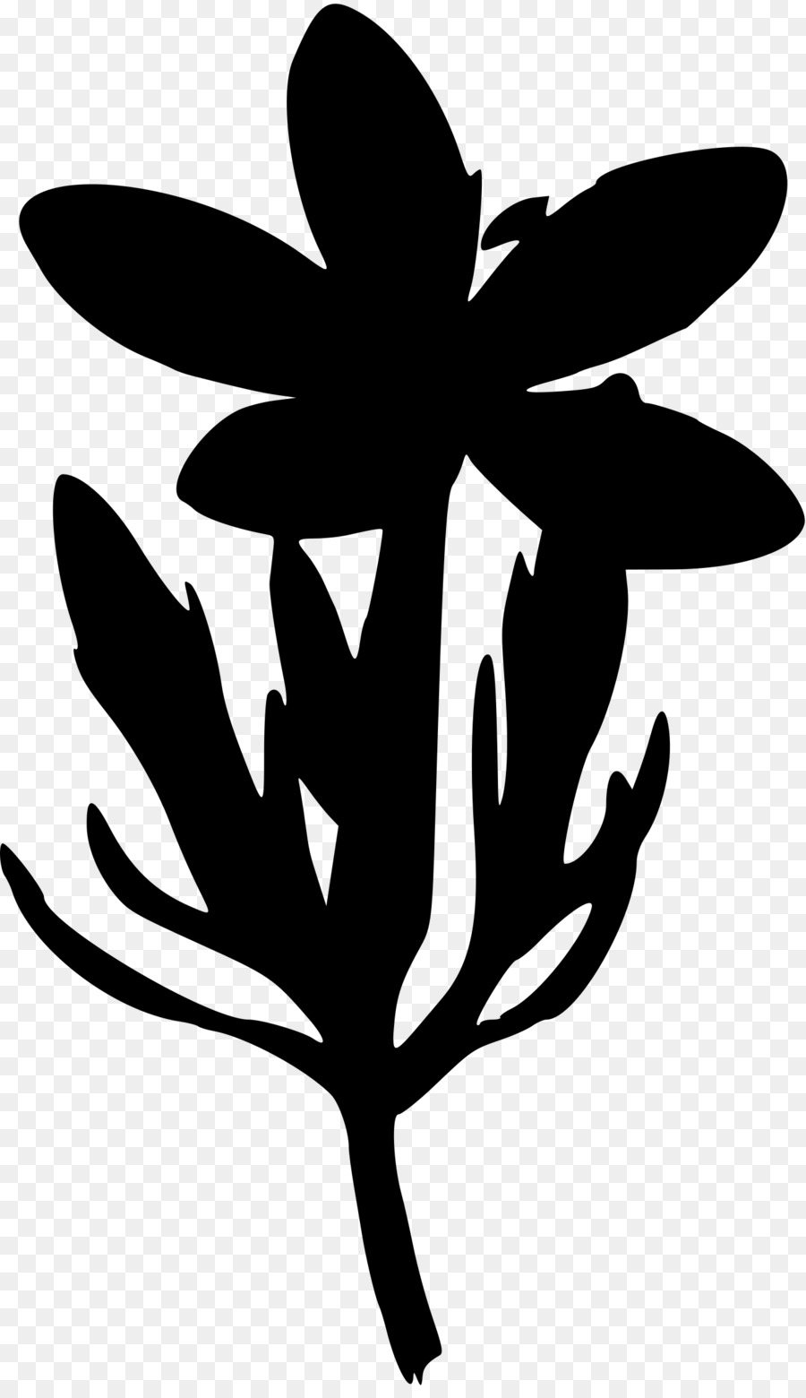 Silhouette Gentian Clip art - silhouettes clipart png download - 1397*2400 - Free Transparent Silhouette png Download.