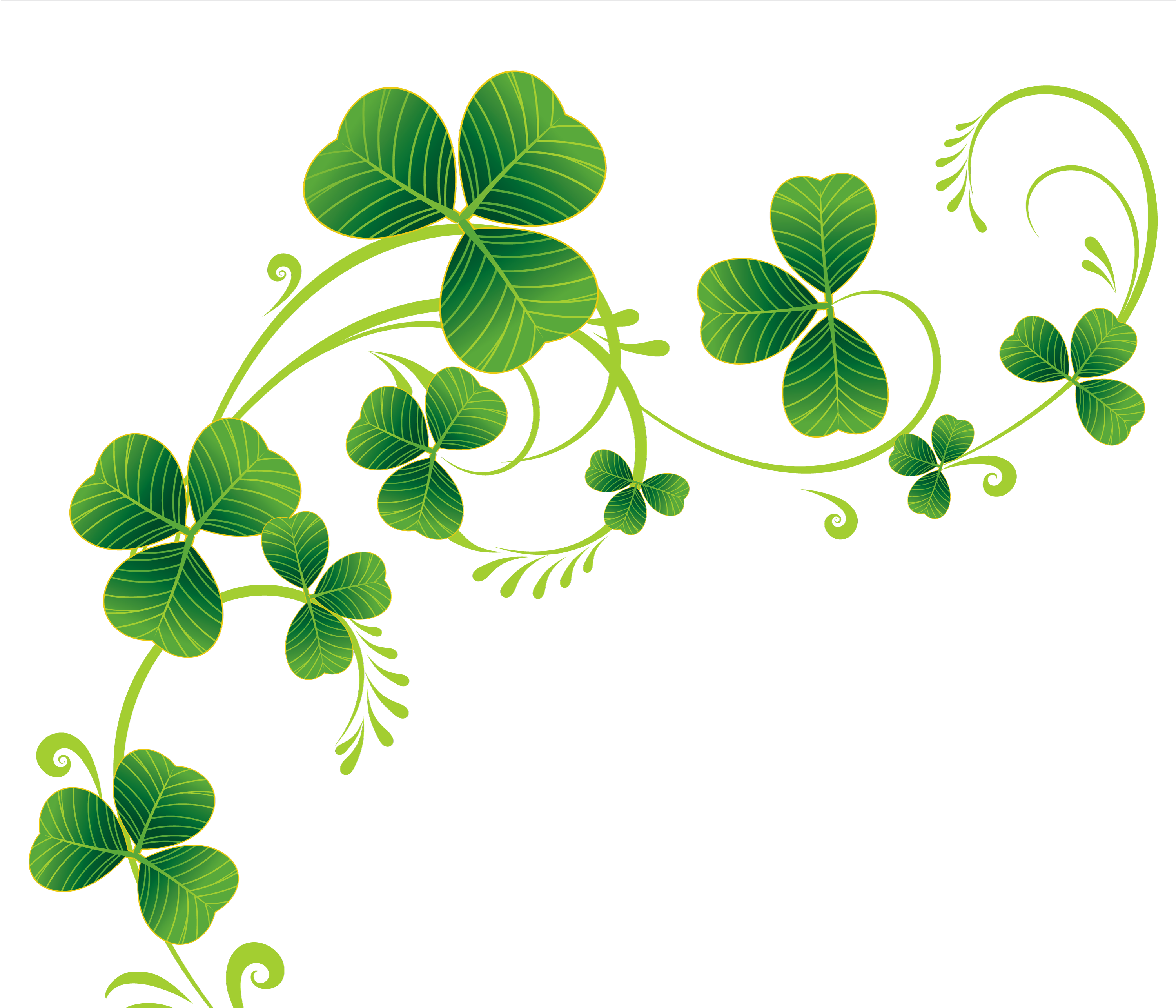 Ireland Saint Patricks Day March 17 Shamrock Four Leaf Clover