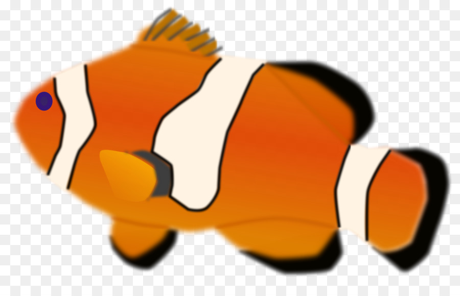 Clownfish Drawing Clip art - Fish Illustrations png download - 958*601 - Free Transparent Clownfish png Download.