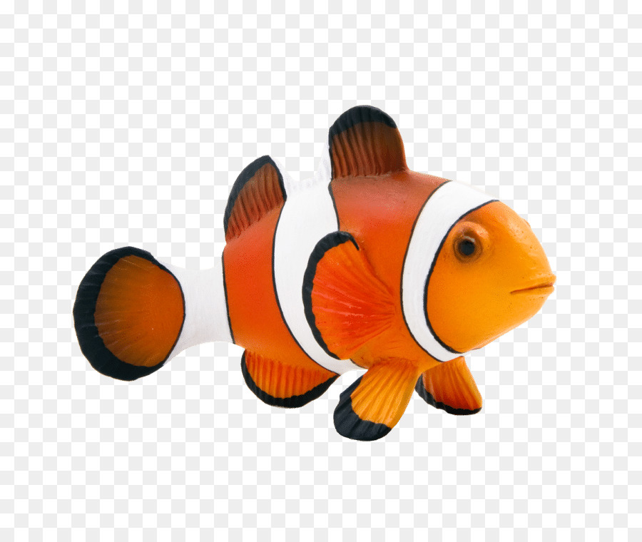 Maroon clownfish Animal Mojo Fun 387090 Clown Fish -  png download - 759*759 - Free Transparent Clownfish png Download.