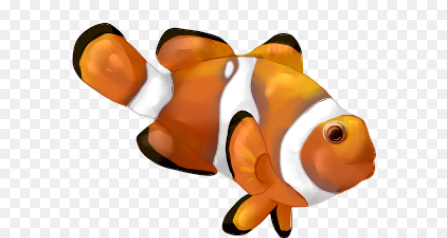 Clip art Illustration Vector graphics Clownfish Drawing -  png download - 640*480 - Free Transparent Clownfish png Download.