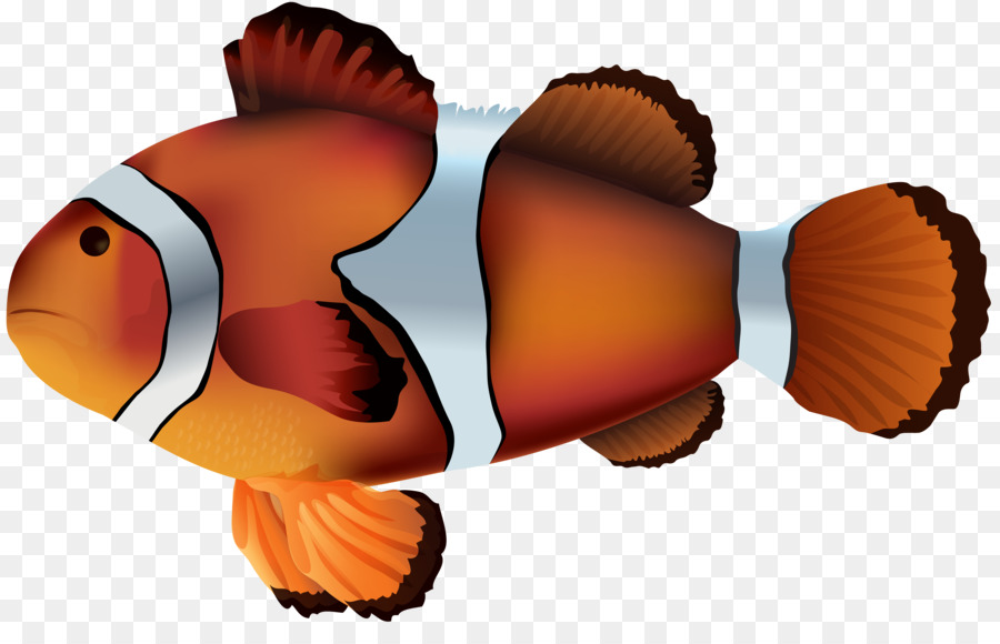 Clownfish Sea anemone Clip art - fish png download - 6899*4349 - Free Transparent Clownfish png Download.