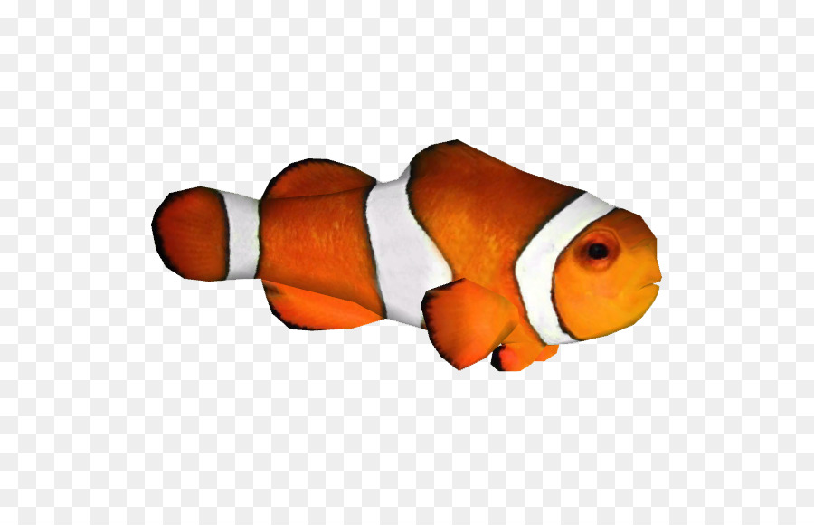 Clip art Clownfish Image Portable Network Graphics - afro background png download - 566*566 - Free Transparent Clownfish png Download.