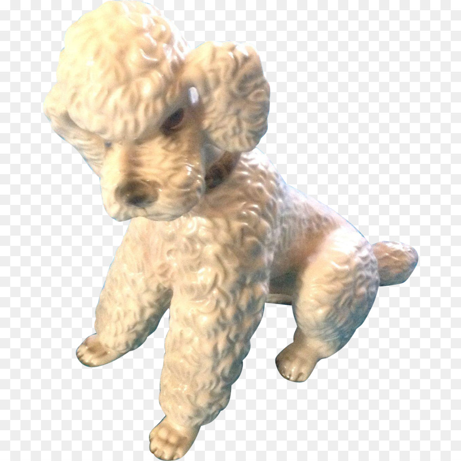 Toy Poodle Miniature Poodle Puppy Cockapoo - poodle png download - 1349*1349 - Free Transparent Poodle png Download.