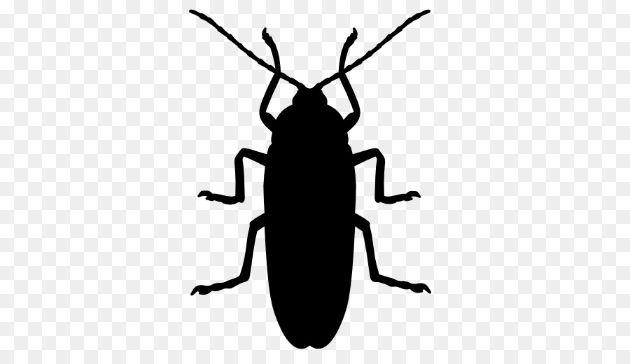 Cockroach Insect Silhouette Icon - Cockroach Silhouette png download - 512*512 - Free Transparent Cockroach png Download.