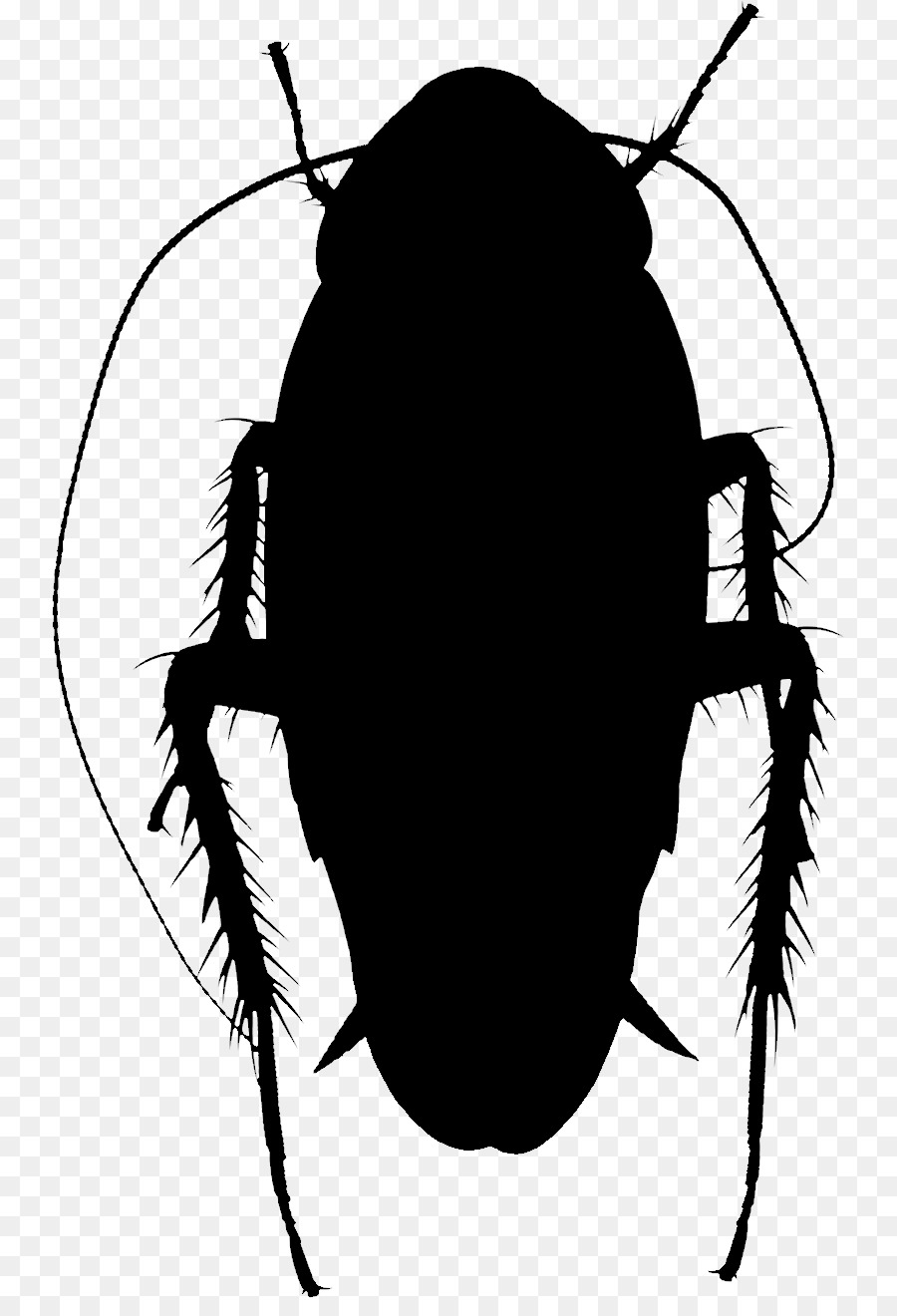 Clip art Silhouette Insect Membrane -  png download - 795*1302 - Free Transparent Silhouette png Download.