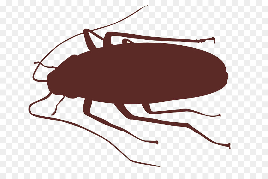 Cockroach Insect Silhouette - roach png download - 730*588 - Free Transparent Cockroach png Download.