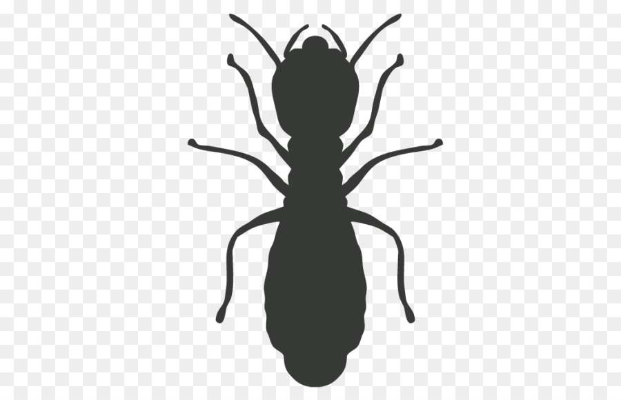 Cockroach Mosquito Pest Control Termite - cockroach png download - 570*570 - Free Transparent Cockroach png Download.