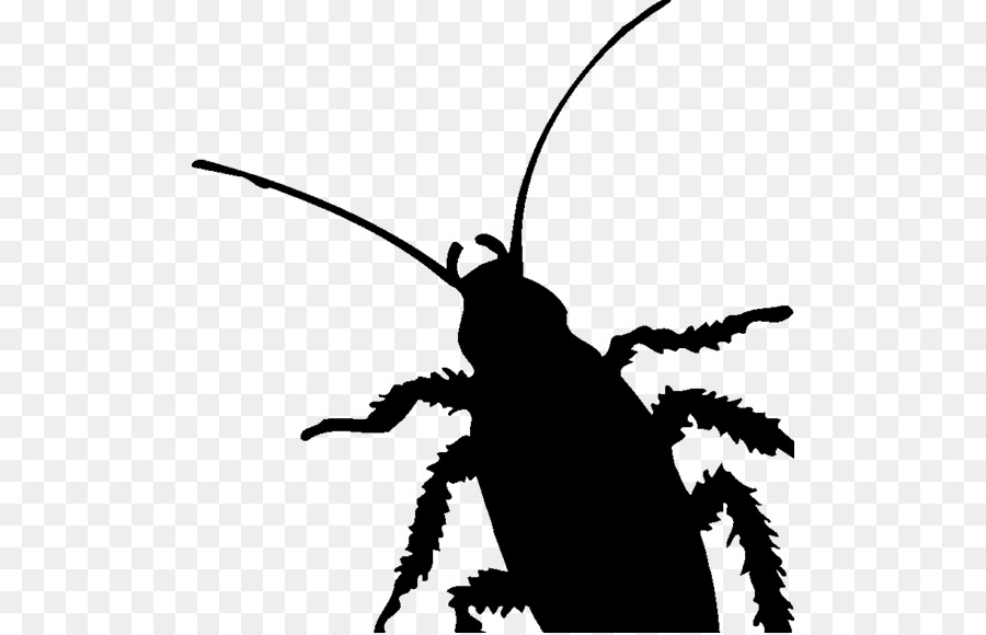 Cockroach Insect Pest Silhouette Clip art - cockroach png download - 550*578 - Free Transparent Cockroach png Download.