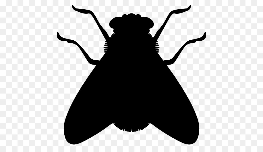 Insect Silhouette Fly Cockroach - insect png download - 512*512 - Free Transparent Insect png Download.