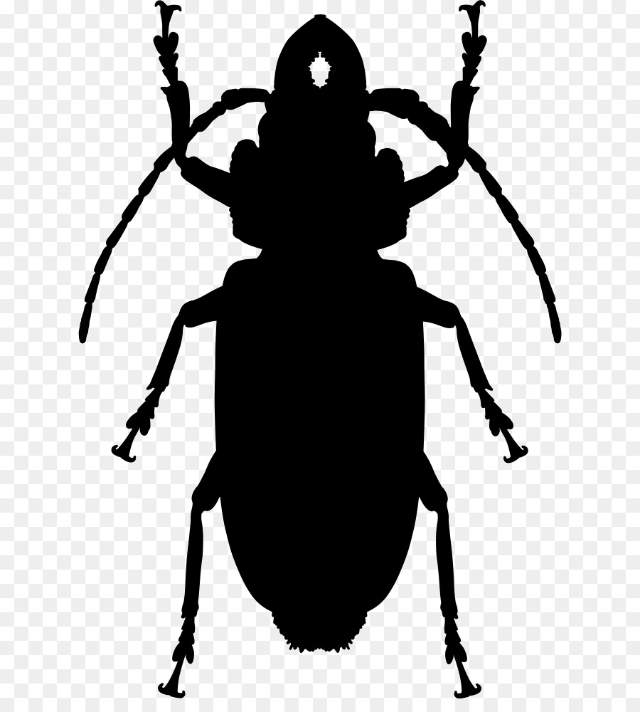 Cockroach Insect Computer Icons - cockroach png download - 680*982 - Free Transparent Cockroach png Download.