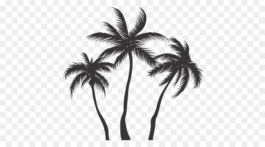 Coconut Vector graphics Clip art Portable Network Graphics Asian palmyra palm - coconut png download - 500*500 - Free Transparent Coconut png Download.