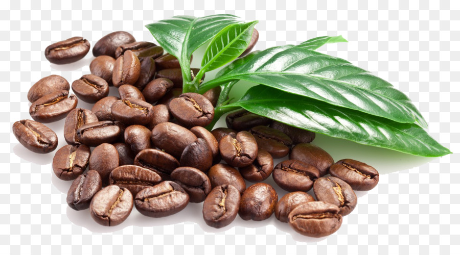 Coffee bean Espresso Caffxe8 macchiato - Coffee Beans PNG Image png download - 1280*696 - Free Transparent Coffee png Download.