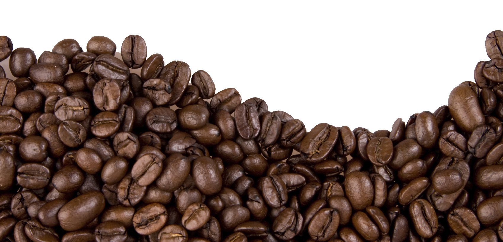 png transparent coffee beans png
