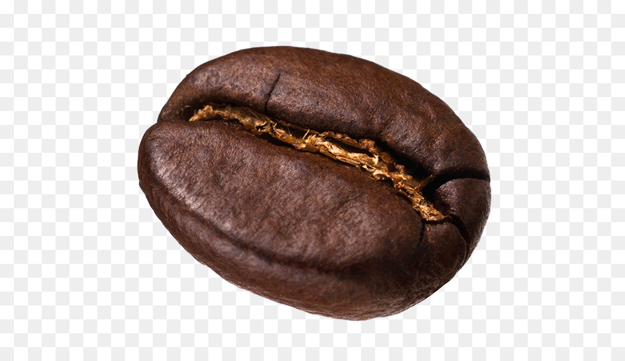 Chocolate-covered coffee bean Cafe Kopi Luwak Single-origin coffee - coffee bean png download - 546*512 - Free Transparent Coffee png Download.