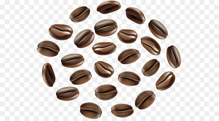 Coffee bean Cafe Single-origin coffee - Coffee png download - 600*495 - Free Transparent Coffee png Download.