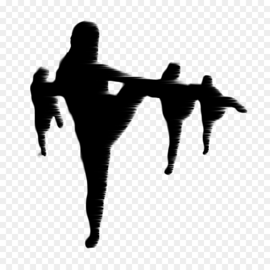 FUN-KEY Dance & Theatre Modern dance Contemporary Dance Acrobatics - contemporary dance png download - 1024*1024 - Free Transparent Funkey Dance  Theatre png Download.
