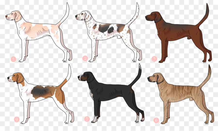 Dog breed English Foxhound American English Coonhound Miniature Pinscher Black and Tan Coonhound - austrian black and tan hound png download - 1600*943 - Free Transparent Dog Breed png Download.