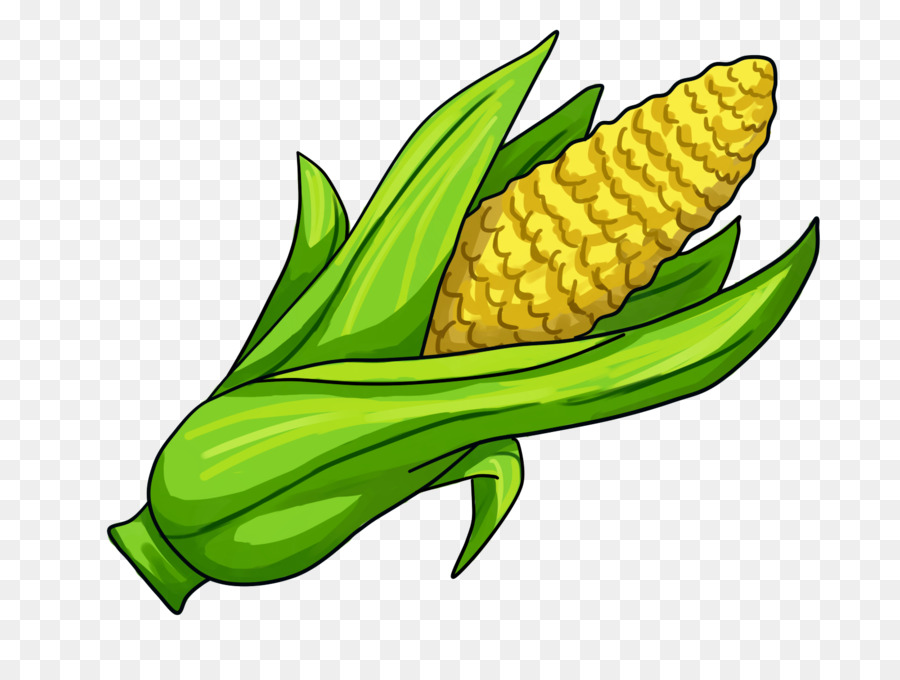 Corn on the cob Maize Clip art - Hand-painted corn png download - 1600*1200 - Free Transparent Corn On The Cob png Download.