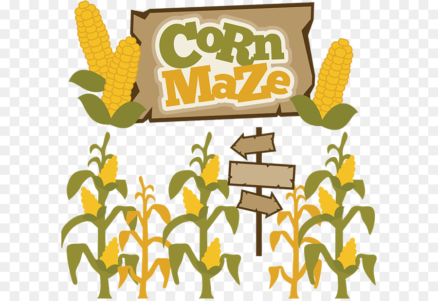 Corn maze Pumpkin Clip art - Fall Corn Cliparts png download - 648*615 - Free Transparent Corn Maze png Download.
