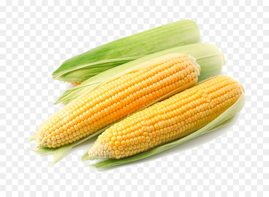 Maize Sweet corn Clip art - Corn (Maize) PNG Transparent Images png download - 1000*721 - Free Transparent Maize png Download.