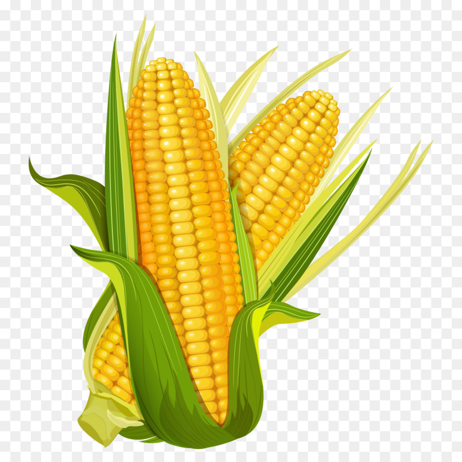 Maize Ear Corncob Popcorn - corn png download - 1000*1000 - Free Transparent Maize png Download.